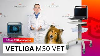 Обзор портативного УЗИ сканера для ветеринарии VETLIGA M30Vet