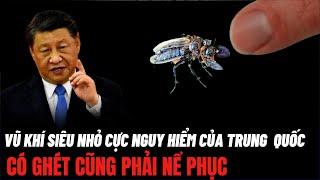 Vũ Khí Siêu Nhỏ Của Trung Quốc: Mối Lo Mới Trên Biển Đông | Hiểu Rõ Hơn