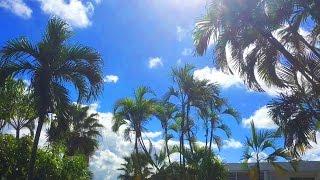 Living In Paradise