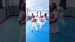 Taekwondo sparring session