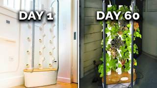 This Garden Grows Veggies Year-Round | Gardyn Review