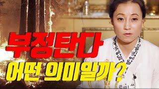 (ENG) 손님이 왔는데 가게에 부정이 탔다?! '부정'이란 무엇일까 ? My shop is jinxed because of the customer?! What is a jinx