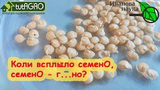 ЕСЛИ ВСПЛЫЛО СЕМЕНО, ТО ОНО - Г...НО? Домашнее определение качества семян флотацией.