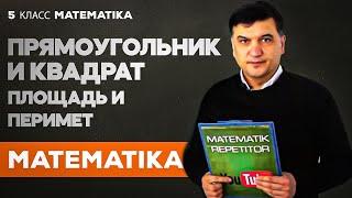 Прямоугольник и квадрат. Площадь и периметр. Математика 5 класс. Урок 24