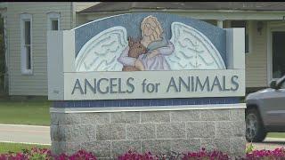 Angels for Animals celebrates 30 years serving the Valley