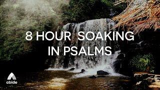 Abide Bible Bedtime Psalms Sleep Talkdown PLAYLIST: Prayers, Psalm 91, Psalm 23, Psalm 121 & 24 more