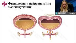 Нейрогенные дисфункции мочеиспускания у детей (Зайцева А.О.)