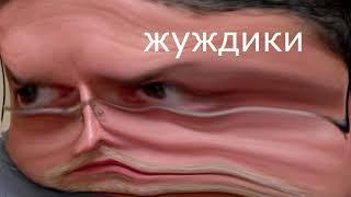 жуждики | RYTP