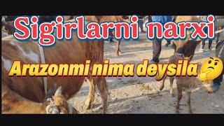 Qarshi karvon molbozori narxlari 2025 yil 15-iyun (hukiz va sigirlarni narxlari)........... 