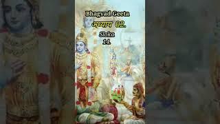 Bhagvad Geeta. Chapter 02. Sloka 14.