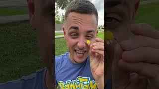 WHEN FISHING GOES WRONG!