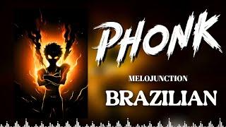 THE BEST BRAZILIAN PHONK 2024 | MUSIC PLAYLIST [GYM, AGGRESSIVE, FUNK] NO COPYRIGHT PHONK MUSIC