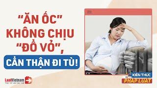 Làm Người Yêu Có Bầu Nhưng Không Cưới, Có Phạm Luật? | LuatVietnam