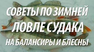 ЗИМНЯЯ ПОДЛЕДНАЯ РЫБАЛКА НА СУДАКА. ЛОВЛЯ СУДАКА НА БАЛАНСИР И БЛЕСНУ ЗИМОЙ
