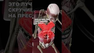 ЭТО ЛУЧШЕ, ЧЕМ СКРУЧИВАНИЯ !