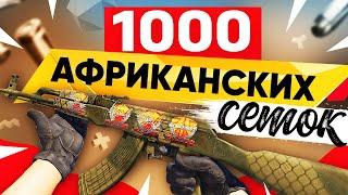 КУПИЛ 1000 AK-47 | Африканская Сетка в КС2. Попались РЕДКИЕ ДОРОГИЕ наклейки, ЗАРАБОТАЛ на КС2