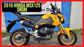 2016 Honda MSX 125 Grom - a Must-Have Mini-Moto?