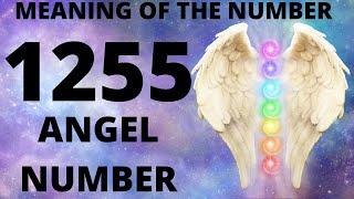 1255 Angel Number | What Does it Mean For You?