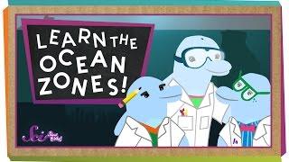 Let's Learn the Ocean Zones!