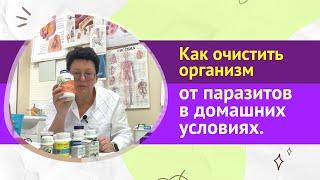 КАК ОЧИСТИТЬ ОРГАНИЗМ ОТ ПАРАЗИТОВ В ДОМАШНИХ УСЛОВИЯХ. [Шишова О.И.]