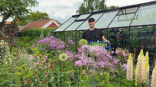 Prepping for Visitors & Planting Annuals | Perennial Garden