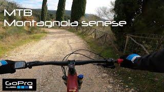 MTB | Montagnola Senese