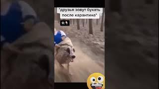 Смех да грех