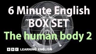 BOX SET: 6 Minute English - 'The human body 2' English mega-class! 30 minutes of new vocab!