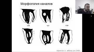 Вебинар №1 - Общие вопросы анатомии и морфологии. Классификации и и диагнозы.