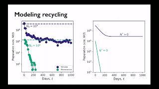 Modeling the physiological and demographic consequences of recycling in closed microbial systems