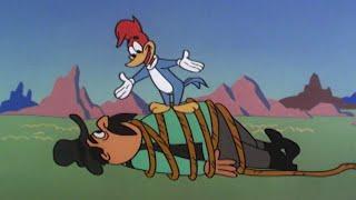 The Wild West Chase | 2.5 Hours of Classic Cartoons | Woody Woodpecker