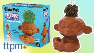 Fingerlings Chia Pet Decorative Planter from Joseph Enterprises