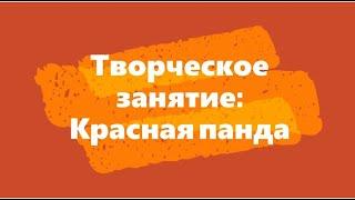 Творческое занятие: Красная панда