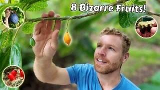 The Most Bizarre Fruits You Can Grow At Home – You Need to See These