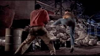 Fighting scene, Jet Li vs Kurt Roland Petersson (The final)