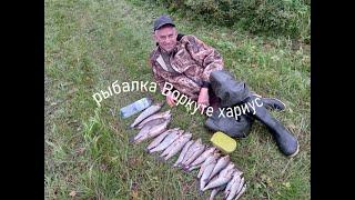 рыбалка Воркуте хариус