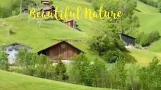 Beautiful Nature | mitch c vlog #nature #beautifulplace