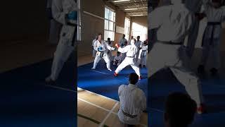 Sensei Matt Price 6th Dan JKS teaching at JKS Harrow