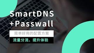 2023年最新smartdns对接 passwall等科学上网插件教程，实现DNS分流功能 阻止DNS劫持 泄露等问题 优化网页打开速度视频缓冲时间#一瓶奶油