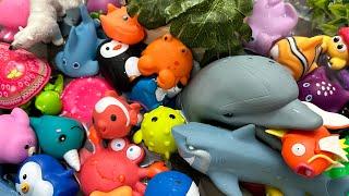 Learn Sea Animal Names | Sea Animals for Kids | Sea Creatures for Kids | Sea Animal Toys | shark toy