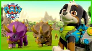 Dino Rescue PAW Patrol Pups redden dinosaurussen en meer! - PAW Patrol Nederlands