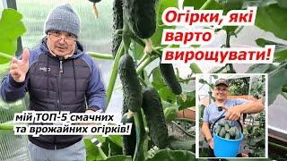 ТОП-5 врожайних та смачних огірків, які варто вирощувати!