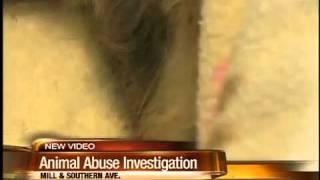 Injured dog found left for dead in Tempe dumpster