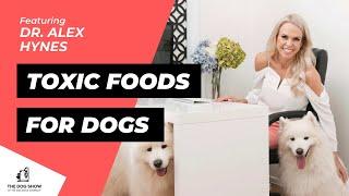 An Expert Guide to Toxic Foods for Dogs with Dr. Alex Hynes (Episode 1)
