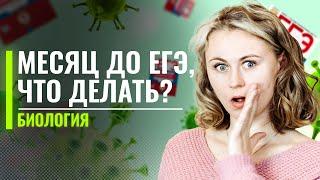 Месяц до ЕГЭ. ЧТО ДЕЛАТЬ? | ЕГЭ по Биологии | Ксения Напольская