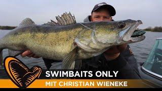 SWIMBAITS ONLY! So fängst du mit Swimbaits Hecht und Zander I Mit Christian Wieneke I Savage Gear