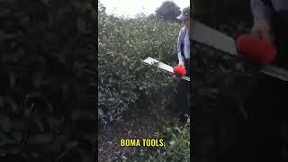 Electric Pruning Machine for Assam And Darjeeling Tea Plantations  Battery Powered Hedge Trimmer