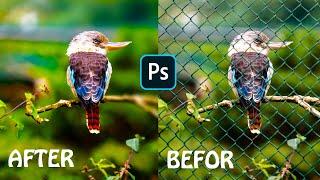 Remove fence | Photoshop Tutorial