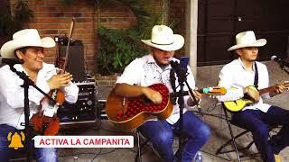 Los Huapangueros de Palo Alto Norteñas y Huapangos