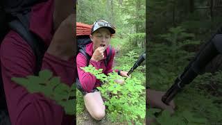 Poisonous plants to watch out for on the trail! #backpacking #poison #edibleplants